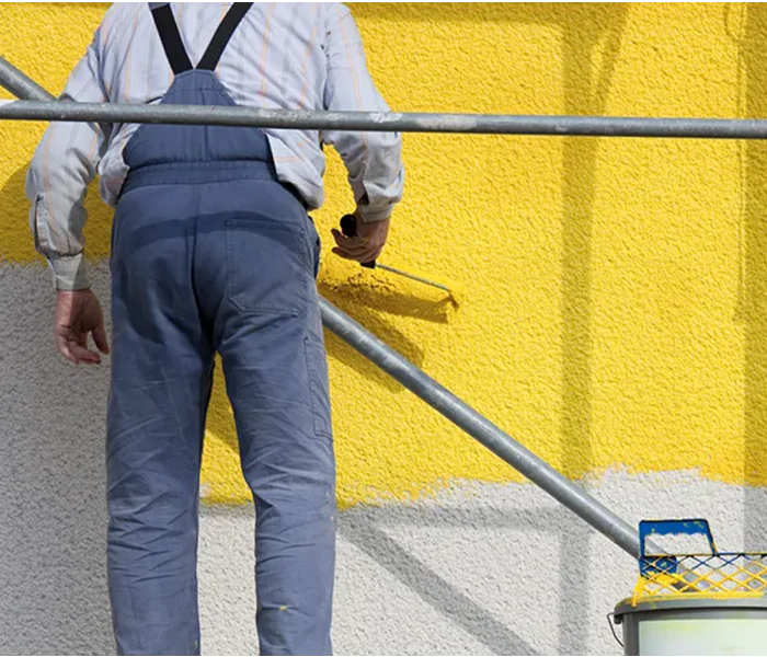 Zinsser Allcoat Pintura Exterior para Paredes RAL 6013 Verde caña - 2,5 litro